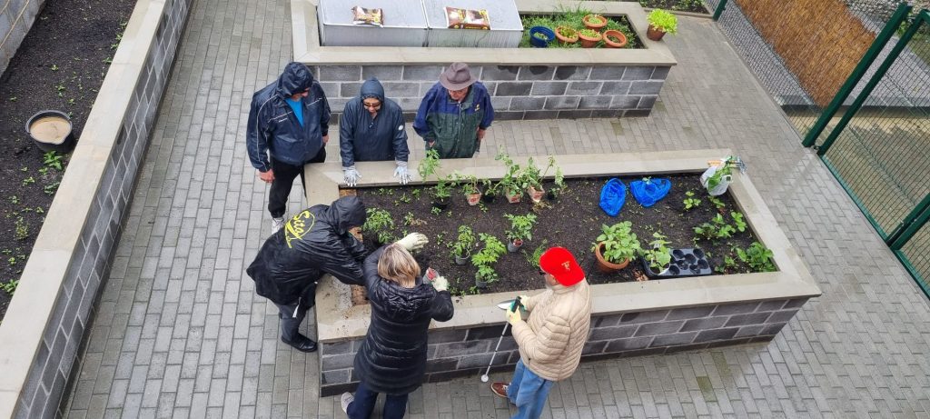 Les participants autour du bac de tomates.