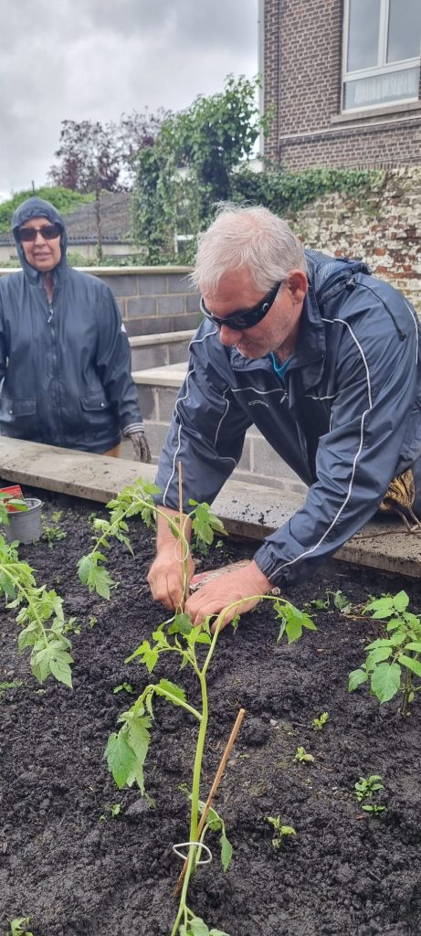 Claudy plante un plant de tomate.