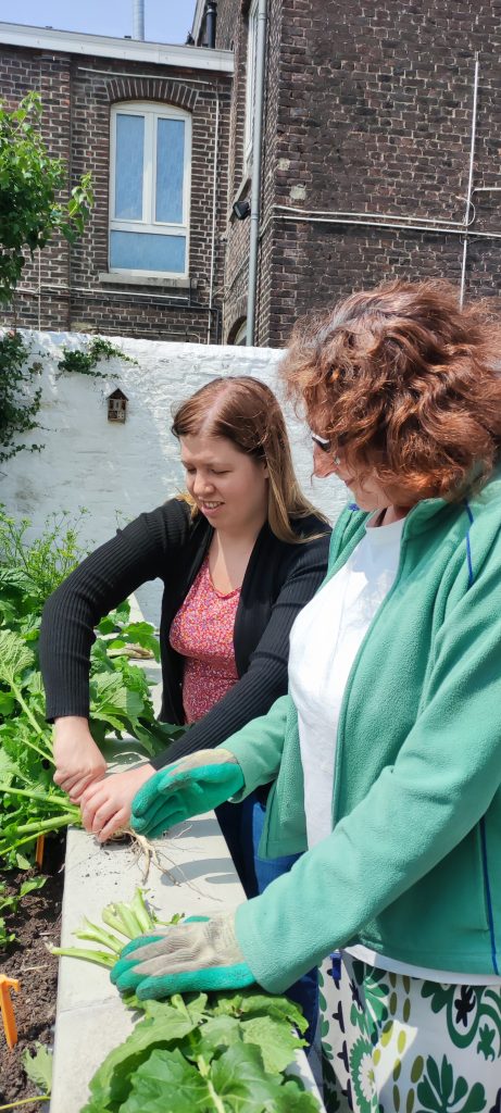Pascale et Stéphanie déterrent les navets