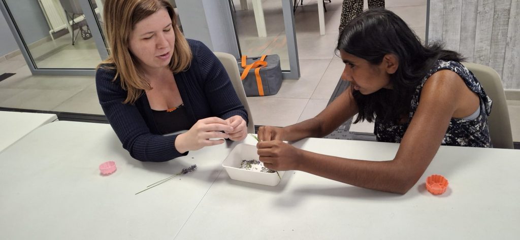 Sumeera et Stéphanie nettoient la lavande.
